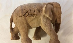 Wooden Toy Gift Engraving