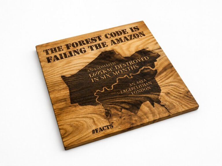 Custom Laser Engraved Wooden Infographic Plaque