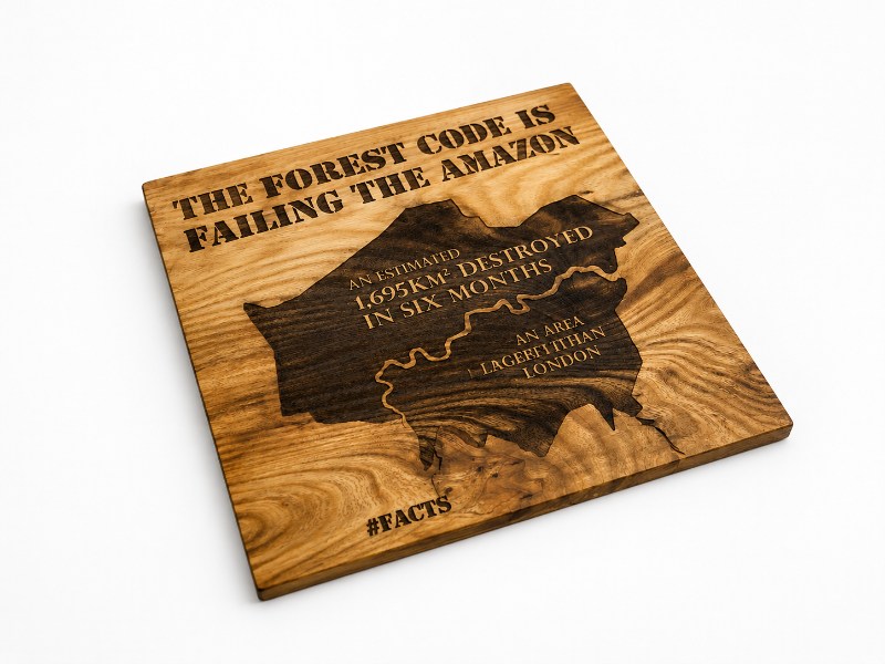 Custom Laser Engraved Wooden Infographic Plaque