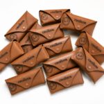 The Continental Rayban Leather Cases