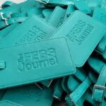 The Febs Journal Blind Debossed Teal Leather Luggage Tags