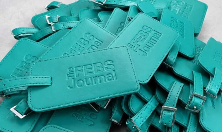 The Febs Journal Blind Debossed Teal Leather Luggage Tags